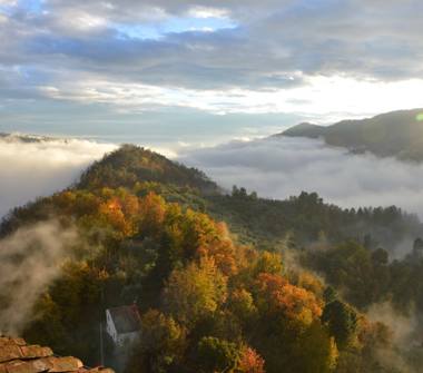Affitto Appartamento Vacanze a Pescia, Frazione Aramo, Via Carlo Goldoni 2