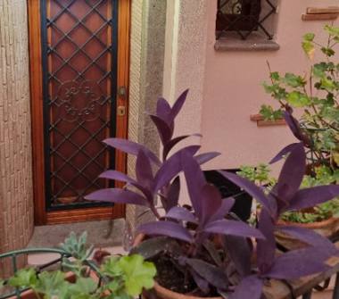 Affitto Casa Vacanze a Fiuggi (Frosinone)