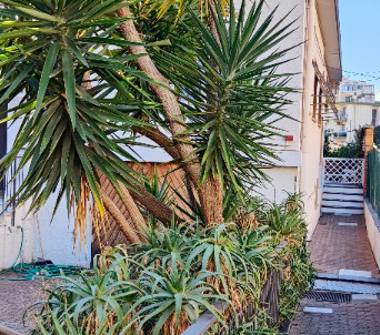 Affitto Casa Vacanze a Sanremo (Imperia), Via Marinella 26