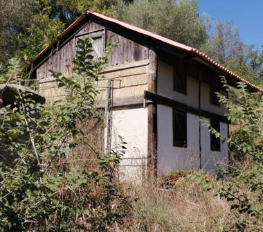 Terreno Agricolo/Coltura in vendita a Agropoli, Frazione Mattine