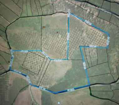 Terreno Agricolo/Coltura in vendita a Viterbo, Frazione Grotte Santo Stefano