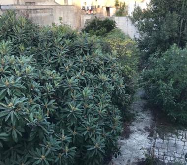 Casa indipendente in vendita a Manduria (Taranto), Via Maraschi 5