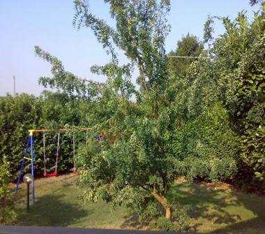 Villa in vendita a Mortara (Pavia)