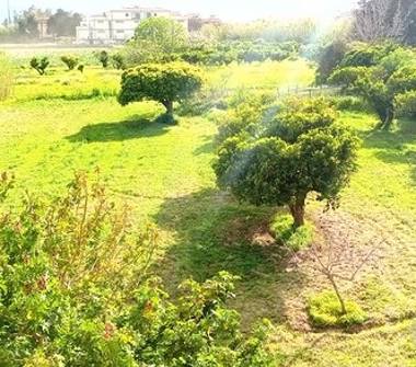 Terreno Agricolo/Coltura in vendita a Orosei (Nuoro), Via Enrico Fermi 44