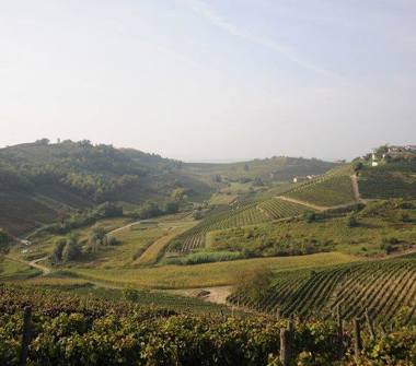 Villa in vendita a Mombercelli, Frazione Moncucco