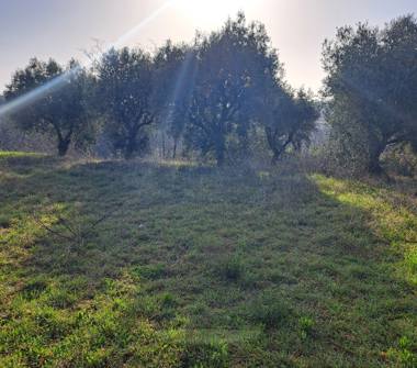 Terreno Edificabile Residenziale in vendita a Monte Giberto (Fermo), Contrada San Michele 22