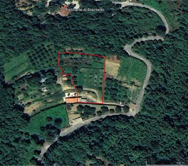 Terreno Agricolo/Coltura in vendita a Ficarra (Messina), Via Natoli 22