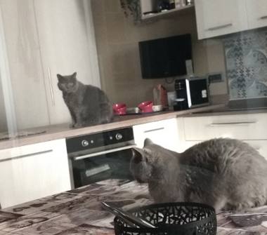 Appartamento in vendita a Reggio Emilia (Reggio Emilia), Via Maria Melato 23