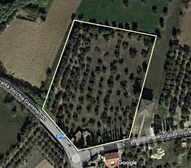 Rustico/Casale in vendita a Roseto degli Abruzzi, Frazione Cologna Paese, Strada Provinciale 20 2