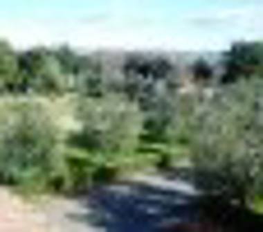 Affitto Stanza Doppia a Fucecchio (Firenze), Via Pistoiese 84