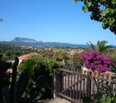 Affitto Casa Vacanze a San Teodoro (Sassari)