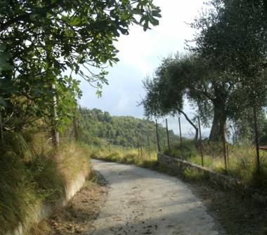 Casa indipendente in vendita a Ventimiglia (Imperia), Via Case Gina 31