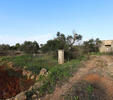 Terreno Agricolo/Coltura in vendita a Taviano (Lecce), Via Lupo dei Beneficati