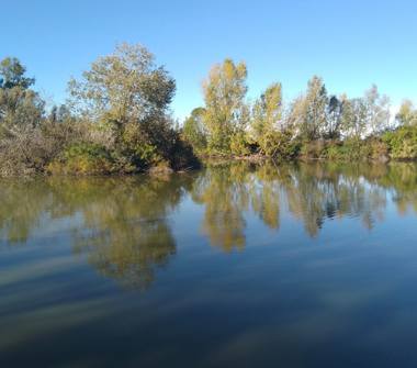 Terreno Agricolo/Coltura in vendita a Gussola (Cremona)