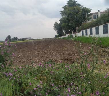 Terreno Agricolo/Coltura in vendita a Foggia (Foggia), Via Camporeale 2,500