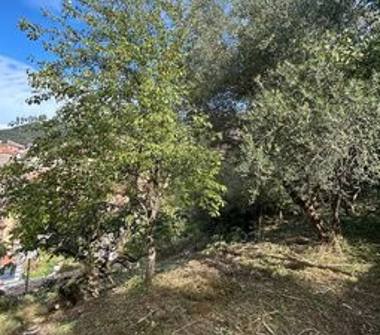 Trilocale in vendita a Lauria, Frazione Lauria Inferiore