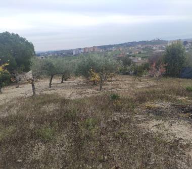 Terreno Edificabile Residenziale in vendita a Canicattì (Agrigento)
