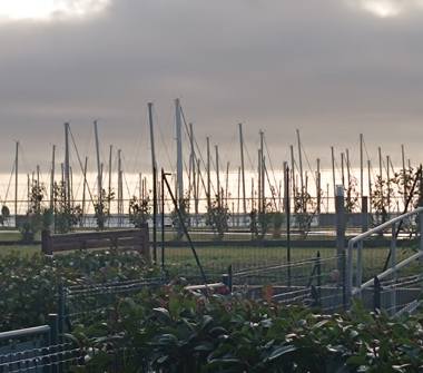 Bilocale in vendita a Santo Stefano al Mare (Imperia), Via Gianni Cozzi 1