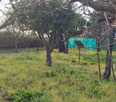 Terreno Agricolo/Coltura in vendita a Pontecagnano Faiano, Frazione Sant'Antonio A Picenza, Via Abate Conforti 200