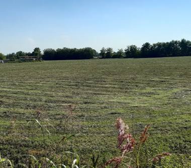 Terreno Edificabile Industriale in vendita a Quistello (Mantova)