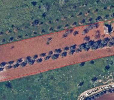 Terreno Agricolo/Coltura in vendita a Erchie (Brindisi)