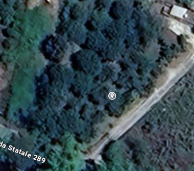 Terreno Agricolo/Coltura in vendita a San Fratello (Messina), Strada Statale 289 0