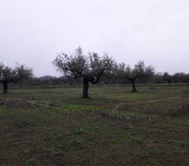 Terreno Edificabile Residenziale in vendita a Cepagatti (Pescara), Via Faresi 0
