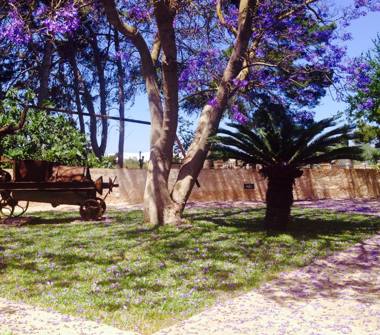 Affitto Casa Vacanze a Marsala (Trapani)