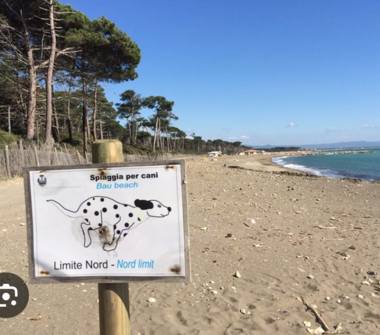 Affitto Appartamento Vacanze a Cecina (Livorno)