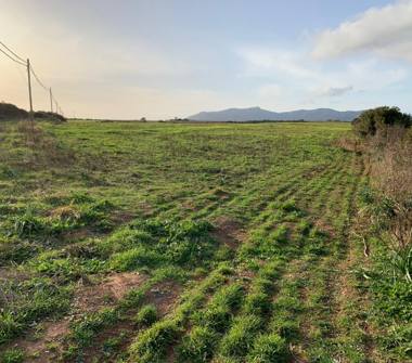 Terreno Edificabile Residenziale in vendita a Sassari, Frazione Villassunta