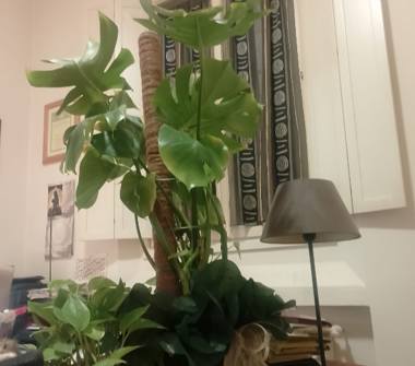 Ufficio in affitto a Forlì, Frazione Centro città, Via Paolo Bonoli 32