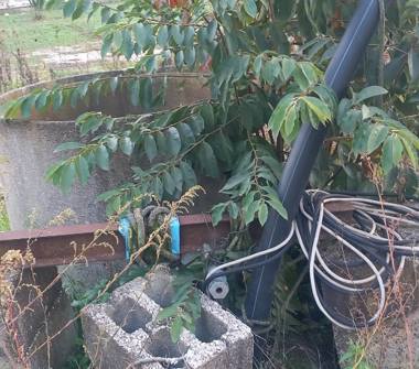 Terreno Agricolo/Coltura in vendita a Nola, Frazione Piazzolla Di Nola, Via Feudo 273