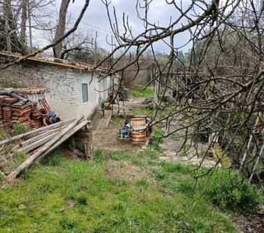 Terreno Agricolo/Coltura in vendita a Ponzano Romano (Roma), Via della Mola 2