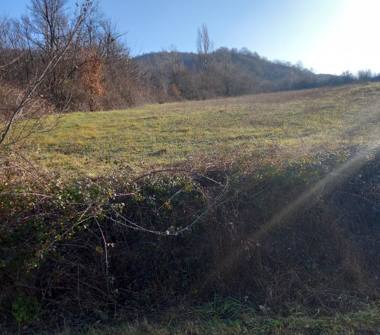 Terreno Agricolo/Coltura in vendita a Castellarano, Frazione Roteglia, Via delle Cave 52