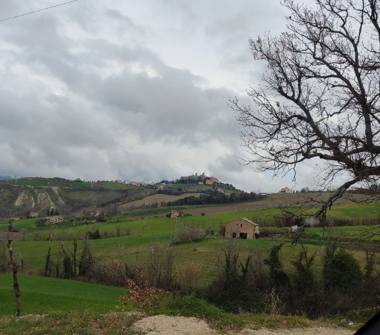Terreno Edificabile Commerciale in vendita a Cossignano (Ascoli Piceno), Contrada Selve 16