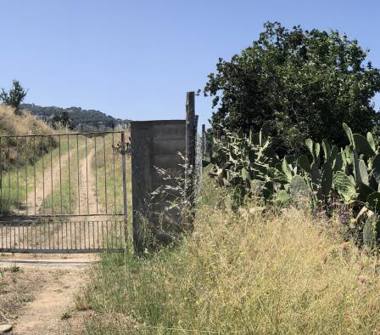 Terreno Agricolo/Coltura in vendita a Reggio Calabria, Frazione Archi, Contrada Sant'Antonio Abate 0