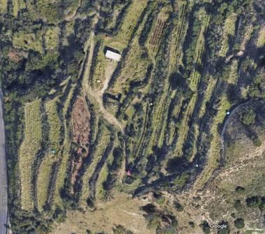 Terreno Agricolo/Coltura in vendita a Reggio Calabria, Frazione Archi, Contrada Sant'Antonio Abate 0