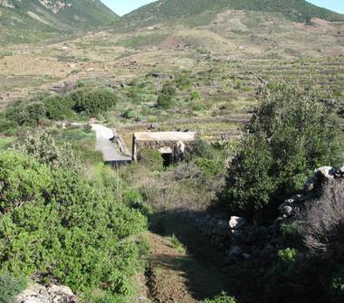 Rustico/Casale in vendita a Pantelleria (Trapani)