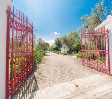 Affitto Villa Vacanze a Vieste (Foggia)