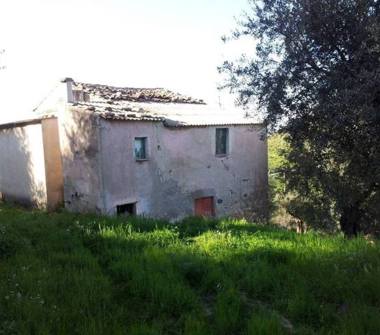 Terreno Agricolo/Coltura in vendita a Corigliano-Rossano (Cosenza)