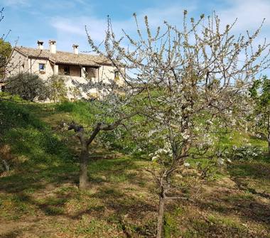 Affitto Rustico/Casale Vacanze a Saludecio (Rimini)