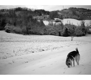 Quadrilocale in affitto a Castiglione dei Pepoli, Frazione Lagaro, Via Confienti 24
