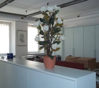  Attività commerciale in vendita a Mortara (Pavia), Piazza Mons. Dughera 9