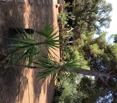 Affitto Villa Vacanze a Capoliveri (Livorno), Via Capo Perla 3