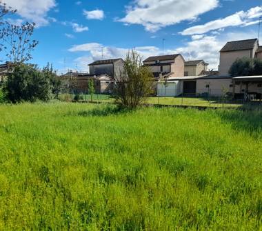 Terreno Agricolo/Coltura in vendita a Ravenna, Zona Mezzano, Via Canale Guiccioli 0