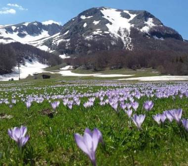 Quadrilocale in affitto a San Massimo, Frazione Campitello