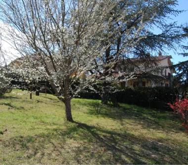 Affitto Appartamento Vacanze a Castel del Piano (Grosseto), Via Po 12b