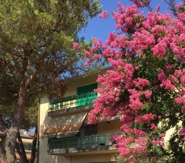 Affitto Appartamento Vacanze a Massa, Frazione Marina Di Massa, Via Stradella 57