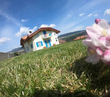 Affitto Appartamento Vacanze a Novella (Trento), Località Traversara 53