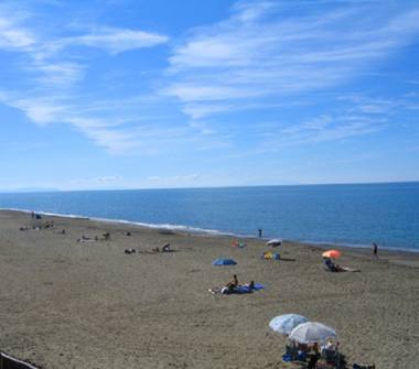 Affitto Appartamento Vacanze a Bibbona, Frazione Marina Di Bibbona, Via del Mare 14